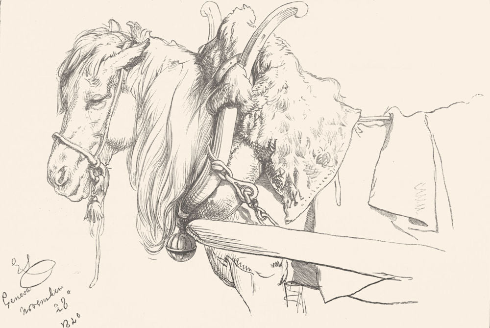 SWITZERLAND. Draught Horse. Geneva-Landseer c1880 old antique print picture